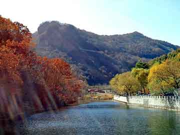 澳门精准大全正版网站，黄山毛峰1875